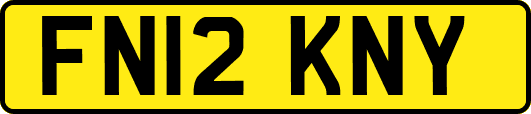 FN12KNY