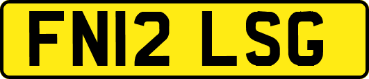 FN12LSG