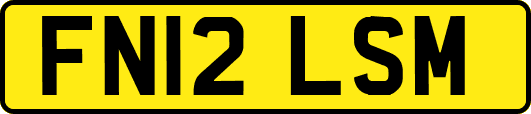FN12LSM
