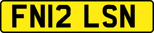 FN12LSN