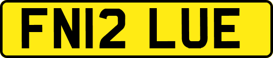 FN12LUE