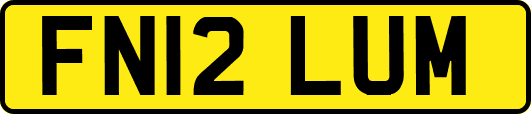 FN12LUM