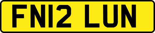 FN12LUN