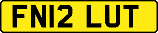 FN12LUT