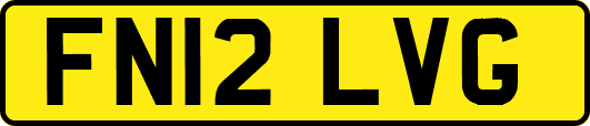 FN12LVG