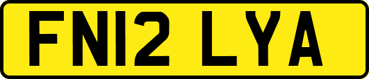 FN12LYA