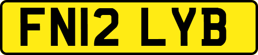 FN12LYB