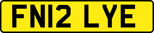 FN12LYE