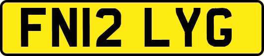 FN12LYG
