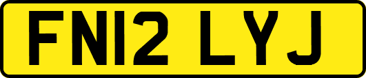 FN12LYJ
