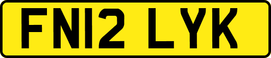 FN12LYK