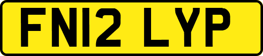 FN12LYP