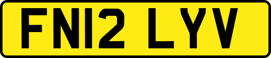 FN12LYV