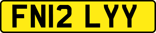 FN12LYY