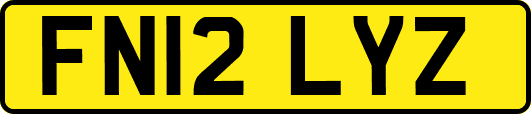 FN12LYZ