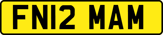 FN12MAM