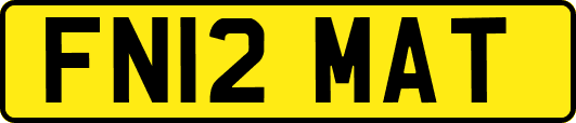FN12MAT