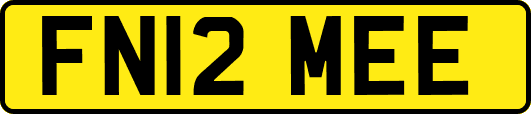 FN12MEE