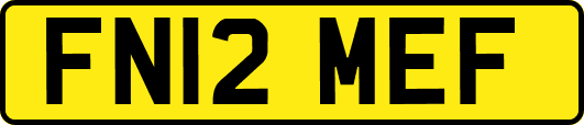 FN12MEF