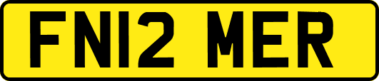 FN12MER