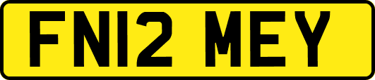 FN12MEY
