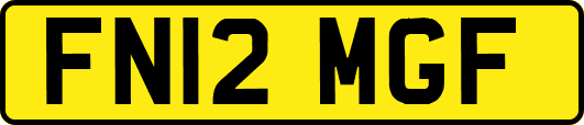 FN12MGF
