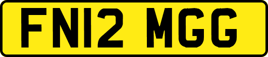 FN12MGG