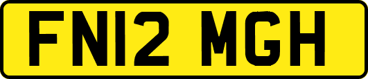 FN12MGH