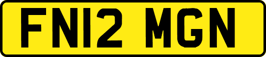 FN12MGN