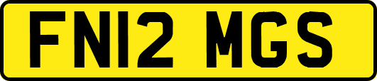 FN12MGS