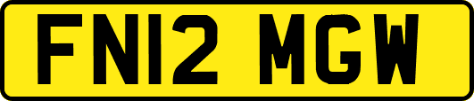 FN12MGW