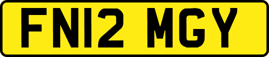 FN12MGY