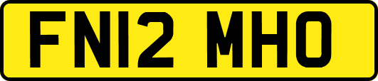 FN12MHO