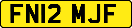 FN12MJF