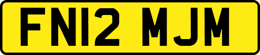 FN12MJM