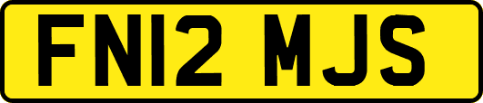FN12MJS
