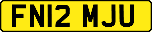FN12MJU