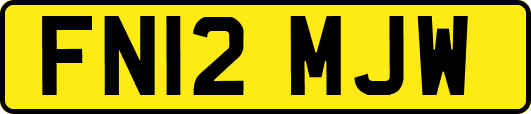 FN12MJW