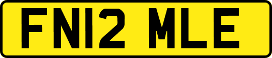 FN12MLE