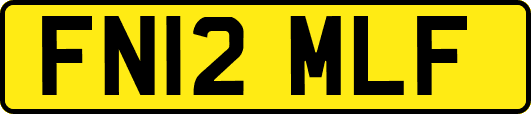 FN12MLF