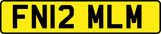 FN12MLM