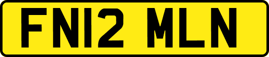 FN12MLN