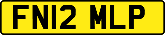 FN12MLP