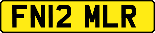 FN12MLR