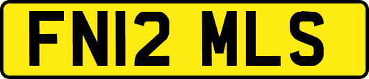 FN12MLS
