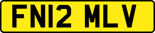 FN12MLV
