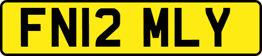 FN12MLY