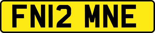 FN12MNE