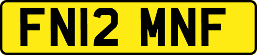 FN12MNF