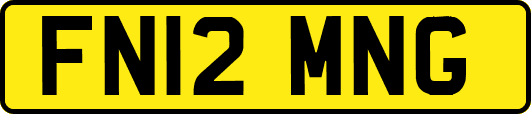 FN12MNG